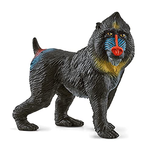 schleich WILD LIFE | Mandrill 14856 | detailgetreue Tierfiguren | Zoo Spielzeug | tolles Geschenk für Jungen und Mädchen | Deko für Geburtstag | Spielfigur ab 3 Jahren | 7 x 3 x 6 cm von SCHLEICH