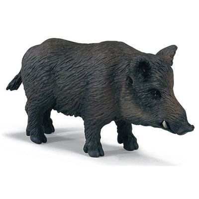 Schleich 14333 - Keiler Schleich 14333 - Keiler von SCHLEICH