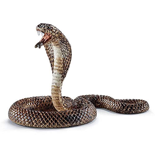 SCHLEICH 14733 Spielfigur - Kobra (Wild Life) SCHLEICH 14733 Spielfigur - Kobra (Wild Life) von SCHLEICH