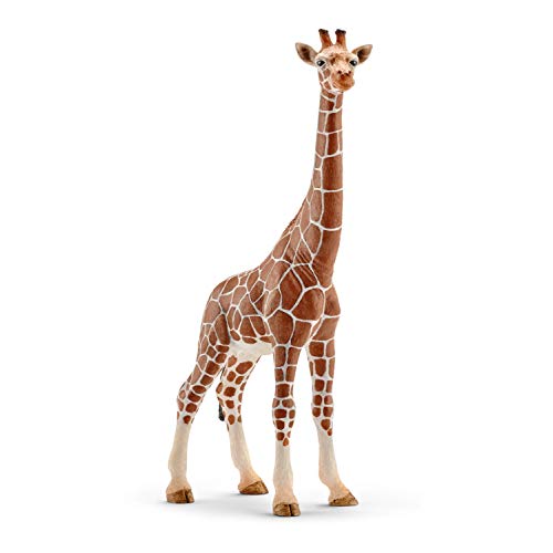 schleich WILD LIFE | Giraffenkuh 14750 | detailgetreue Tierfiguren | Zoo Spielzeug | tolles Geschenk für Jungen und Mädchen | Deko für Geburtstag | Spielfigur ab 3 Jahren | 9 x 4 x 17 cm von SCHLEICH