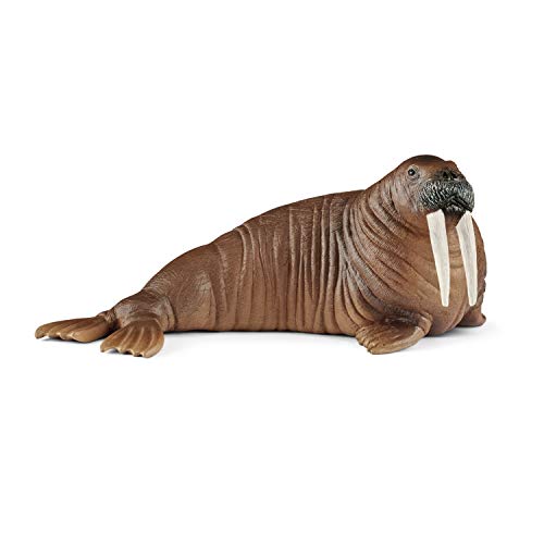 Schleich 14803 - Walross von SCHLEICH