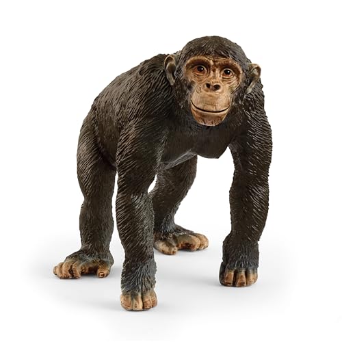 schleich 14883 Schimpanse, ab 3 Jahren, WILD LIFE - Spielfigur, 5 x 5 x 8 cm von SCHLEICH