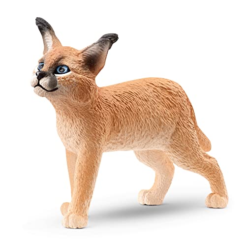 schleich WILD LIFE | Karakal Junges 14868 | detailgetreue Tierfiguren | Zoo Spielzeug | tolles Geschenk für Jungen und Mädchen | Deko für Geburtstag | Spielfigur ab 3 Jahren | 5 x 2 x 4 cm von SCHLEICH