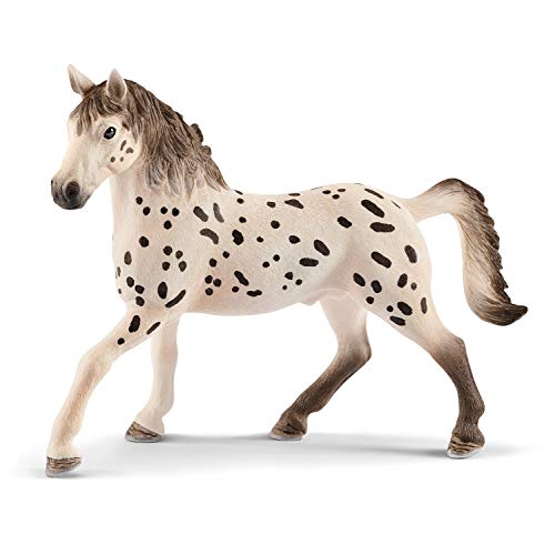 schleich 13889 Knabstrupper Hengst, ab 5 Jahren, HORSE CLUB - Spielfigur, 6 x 14 x 11 cm, Braun (Brown) von SCHLEICH