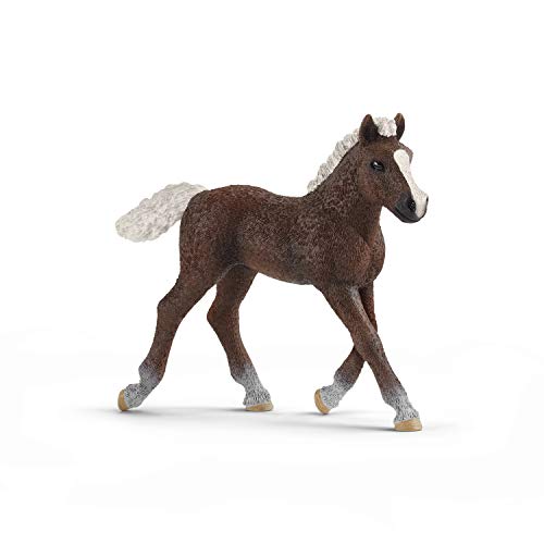 schleich 13899 Schwarzwälder Fohlen, für Kinder ab 3+ Jahren, FARM WORLD - Spielfigur von SCHLEICH