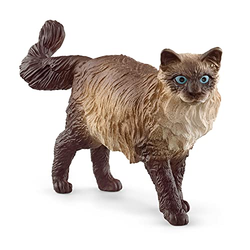 SCHLEICH Farm World | Ragdoll Katze 13940 Bauernhof Spielfigur | detailgetreue Tierfiguren | tolles Geschenk für Jungen und Mädchen | Bauernhof Spielzeug ab 3 Jahre | 6 x 2 x 4 cm SCHLEICH Farm World | Ragdoll Katze 13940 Bauernhof Spielfigur | detailgetreue Tierfiguren | tolles Geschenk für Jungen und Mädchen | Bauernhof Spielzeug ab 3 Jahre | 6 x 2 x 4 cm von SCHLEICH