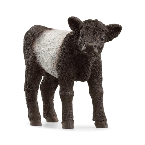 schleich 13969 Galloway Kalb, ab 3 Jahren, FARM WORLD - Spielfigur, 3 x 8 x 6 cm von SCHLEICH