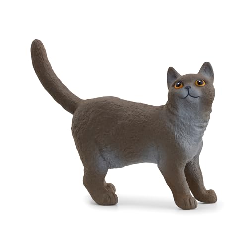 schleich 13973 Britische Kurzhaar Katze, ab 3 Jahren, FARM WORLD - Spielfigur, 2 x 6 x 4 cm, Black von SCHLEICH