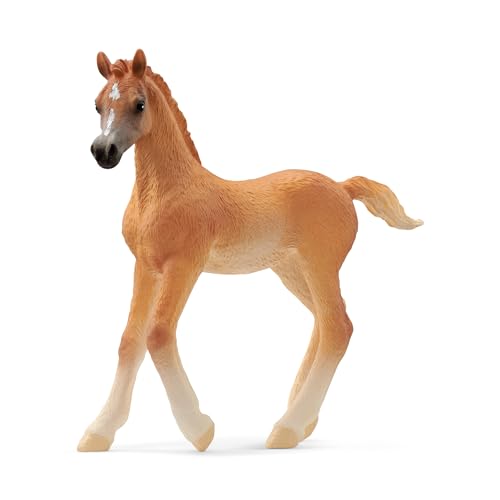 schleich 13984 Araber Fohlen, ab 5 Jahren, HORSE CLUB - Spielfigur, 2 x 8 x 8 cm von SCHLEICH