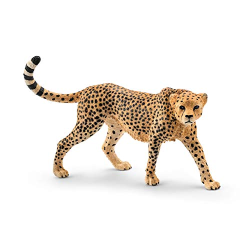 schleich 14746 Gepardin, ab 3 Jahren, WILD LIFE - Spielfigur, 3 x 10 x 7 cm von SCHLEICH