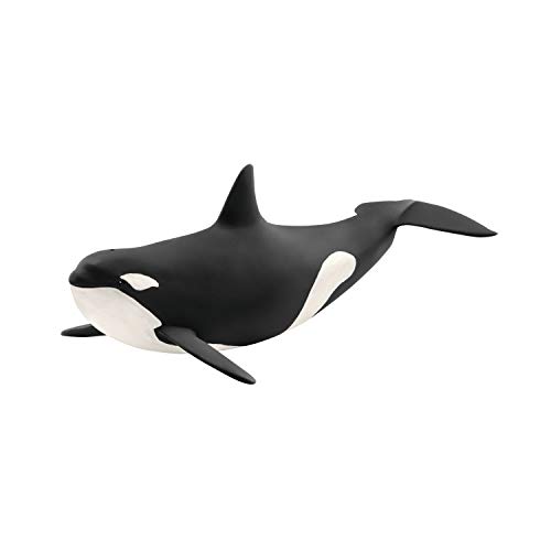 schleich 14807 Orka, ab 3 Jahren, WILD LIFE - Spielfigur, 10 x 20 x 7 cm von SCHLEICH