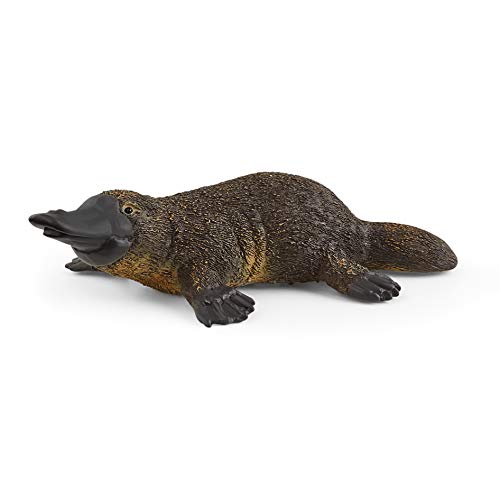 schleich 14840 Schnabeltier, für Kinder ab 3+ Jahren, WILD LIFE - Spielfigur von SCHLEICH