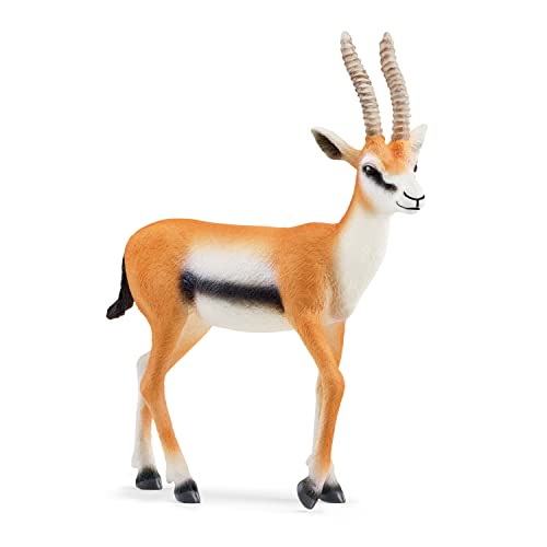 schleich 14861 Thomson Gazelle, für Kinder ab 3+ Jahren, WILD LIFE - Spielfigur, Alte Version von SCHLEICH