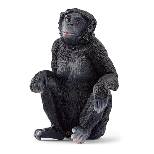 SCHLEICH 14875 Bonobo Weibchen, ab 3 Jahren, WILD Life - Spielfigur, 4 x 4 x 6 cm SCHLEICH 14875 Bonobo Weibchen, ab 3 Jahren, WILD Life - Spielfigur, 4 x 4 x 6 cm von SCHLEICH