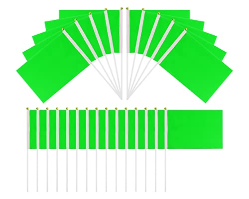 SCSpecial Kleine Flaggen, 25 Stück, Mini-Handflaggen, 21,6 x 14,9 cm, für Paraden und Dekoration, Rot (Grün) von SCSpecial