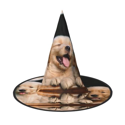 SDFHU Golden Retriever Hunde Welpen Haustiere Druck Party Hut Halloween Karneval Hexen Hüte für Mottopartys Cosplay Urlaub Dekor von SDFHU