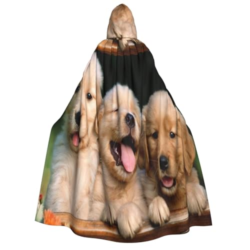 SDFHU Golden Retriever Kapuzenumhang für alle Hunde, Welpen, Haustiere, Unisex, Cosplay, Kostüm, Halloween, Dekoration, Karnevalszubehör von SDFHU