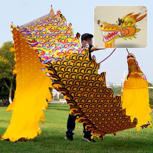 SDFVSDF Tanzband Goldener Tanzdrachen-Poi für Fitness, Drachentanzband mit Drachenkopf und Schwungseil, Leichter Bunter Sich Drehender und Schüttelnder Drachenstreamer(10 m (33 ft)) von SDFVSDF