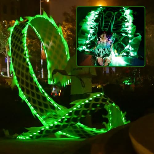 SDFVSDF Tanzband LED-Tanzdrachen-Poi mit Lichtern und Drachenkopf, Outdoor-Sport-Fitness-Drachentanzband für Die Nacht, Chinesisches Loong-Formkunst-Tanz-Requisitenset(Green,10 m (33 ft)) von SDFVSDF