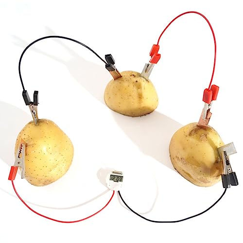 Experimente für Kinder mit Strom ab 10, Bio Energy Wissenschaft Spielzeug Kit, DIY Fruchtbatterie Kartoffelstrom Wissenschaftliche Experimente Kartoffelbatterie für Kartoffeluhr Zitronenbatterie von SEAFRONT