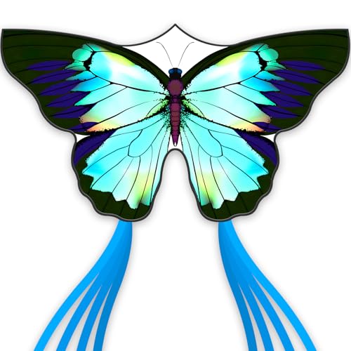 SGftre Butterfly Kites Top-Qualität, leicht zu fliegen Perfektes Outdoor-Spielzeug für Kinder und Erwachsene, Drachen für die Familie im Freien Spielen (Silverwing Butterfly, 1) von SGftre