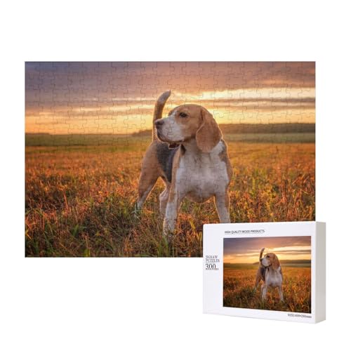 Beagle Rasenhunde auf einem Spaziergang Haustiere Hunde Sonnenuntergang 300-teiliges Kinderpuzzle, Puzzlespiele als Geschenk für Jungen/Mädchen, für Kinder und Erwachsene ab 9 Jahren von SHFYTRHG