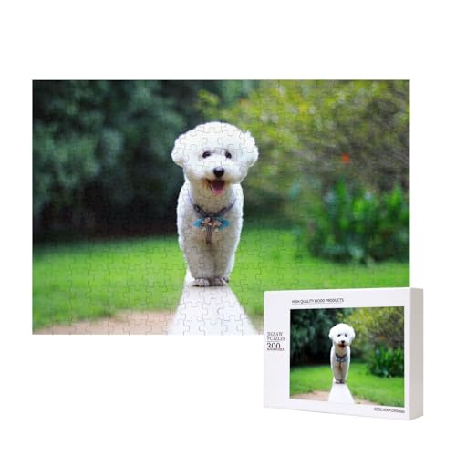 Bichon Frise Bokeh Haustiere Hunde Park Weiße Hunde 300-teiliges Kinderpuzzle, Puzzlespiele als Geschenk für Jungen/Mädchen, für Kinder und Erwachsene ab 9 Jahren von SHFYTRHG