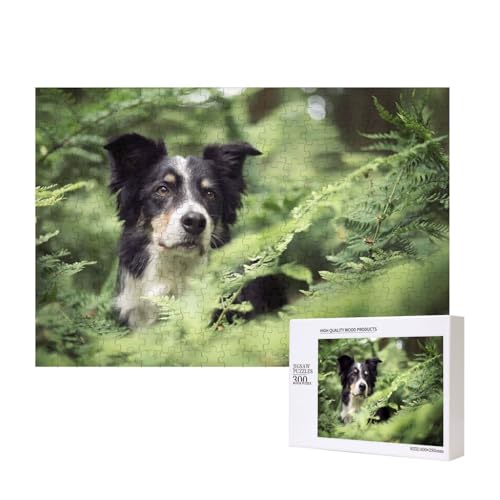 Border Collie Hunde Bokeh Haustiere Schwarz Weiß 300-teiliges Kinderpuzzle, Puzzlespiele als Geschenk für Jungen/Mädchen, für Kinder und Erwachsene ab 9 Jahren von SHFYTRHG