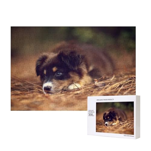 Border Collie Welpe Bokeh Brauner Border Collie 300-teiliges Kinderpuzzle, Puzzlespiele als Geschenk für Jungen/Mädchen, für Kinder und Erwachsene ab 9 Jahren von SHFYTRHG