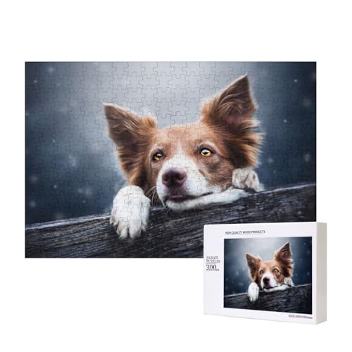 Brauner Border Collie Bokeh Gott mit gelben Augen 300-teiliges Kinderpuzzle, Puzzlespiele als Geschenk für Jungen/Mädchen, für Kinder und Erwachsene ab 9 Jahren von SHFYTRHG