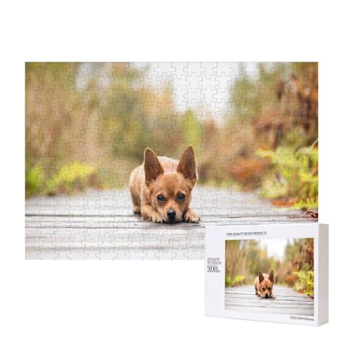 Chihuahua-Hund 300-teiliges Kinderpuzzle, Puzzlespiele als Geschenk für Jungen/Mädchen, für Kinder und Erwachsene ab 9 Jahren von SHFYTRHG