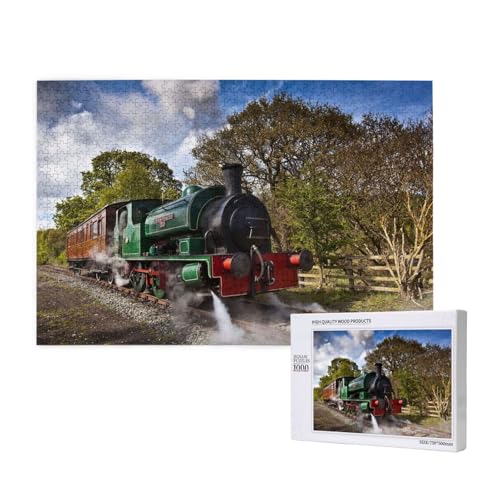 Dampflokomotive Zug 1000-teiliges Puzzle für Erwachsene, lustiges Puzzle für die ganze Familie, 1000-teiliges anspruchsvolles Puzzlespiel, 20 x 30 Zoll von SHFYTRHG