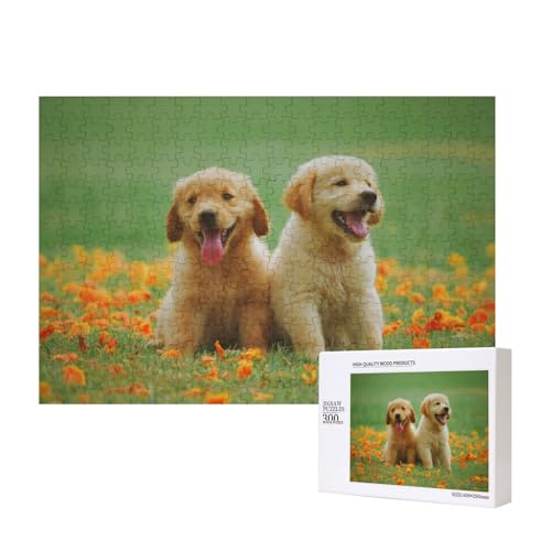 Golden Retriever Welpe Hund 300-teiliges Kinderpuzzle, Puzzlespiele als Geschenk für Jungen/Mädchen, für Kinder und Erwachsene ab 9 Jahren von SHFYTRHG