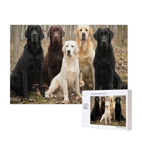 Labrador Retriever Hunde Schwarz Golden Weiß Braun 300-teiliges Kinderpuzzle, Puzzlespiele als Geschenk für Jungen/Mädchen, für Kinder und Erwachsene ab 9 Jahren von SHFYTRHG