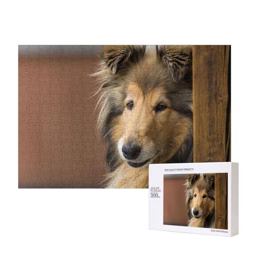 Langhaarcollie, Lassie-Hunde, große, Flauschige Hunde, Haustiere 300-teiliges Kinderpuzzle, Puzzlespiele als Geschenk für Jungen/Mädchen, für Kinder und Erwachsene ab 9 Jahren von SHFYTRHG