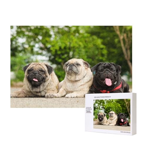 Mops Freundschaft Bokeh Hunde Haustiere Freunde Mops 300-teiliges Kinderpuzzle, Puzzlespiele als Geschenk für Jungen/Mädchen, für Kinder und Erwachsene ab 9 Jahren von SHFYTRHG