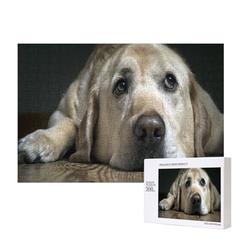 Schöner Labrador-Hund 300-teiliges Kinderpuzzle, Puzzlespiele als Geschenk für Jungen/Mädchen, für Kinder und Erwachsene ab 9 Jahren von SHFYTRHG