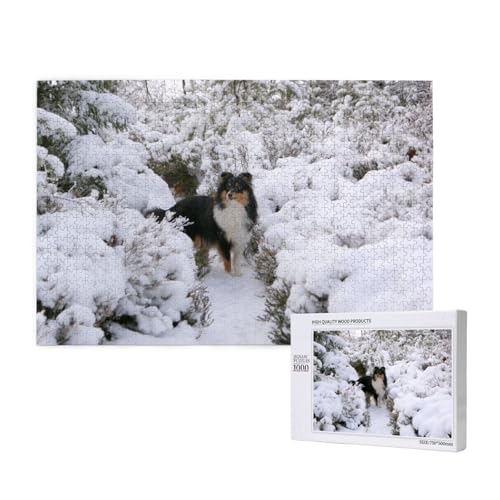 Winter, Sheltie-Tapete 1000-teiliges Puzzle für Erwachsene, lustiges Puzzle für die ganze Familie, 1000-teiliges anspruchsvolles Puzzlespiel, 20 x 30 Zoll von SHFYTRHG