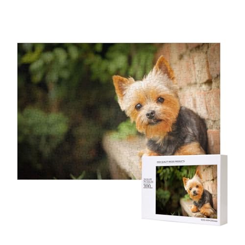 Yorkshire Terrier Bokeh süße Hunde Wand 300-teiliges Kinderpuzzle, Puzzlespiele als Geschenk für Jungen/Mädchen, für Kinder und Erwachsene ab 9 Jahren von SHFYTRHG