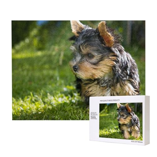 Yorkshire Terrier auf grünem Gras 500-teiliges Puzzle für Erwachsene und Kinder ab 10 Jahren, Lernspiel, Herausforderung, Spielzeug, Holzpuzzle von SHFYTRHG