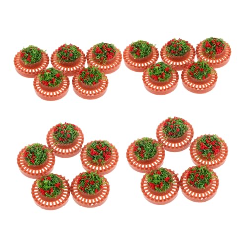 SHINEOFI 20 Stück Maßstab Runde Miniatur Blumentöpfe für Puppenhaus und Landschaftsgestaltung Langlebig Flexibel Leicht zu Reinigen für Bastelprojekte SHINEOFI 20 Stück Maßstab Runde Miniatur Blumentöpfe für Puppenhaus und Landschaftsgestaltung Langlebig Flexibel Leicht zu Reinigen für Bastelprojekte von SHINEOFI