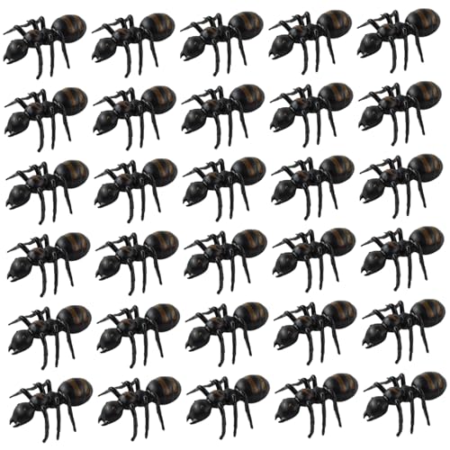 SHITOOMFE Kunststoffameisen 30 Prozent realistische Ameisen schwarzer Streichspielzeug für Halloween Party bevorzugt Dekorationsrequisiten SHITOOMFE Kunststoffameisen 30 Prozent realistische Ameisen schwarzer Streichspielzeug für Halloween Party bevorzugt Dekorationsrequisiten von SHITOOMFE