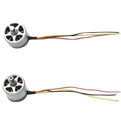 SHMYNEG 2312A CCW/CW Bürstenloser Motor 800KV for D-JI Phantom 3 Pro & Advanced Drone(Bundle 1) von SHMYNEG