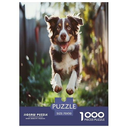 Australischer Schäfer Puzzle 1000 Teile Schwer Puzzle Spielzeug Pädagogisches Spiel Impossible Herausforderungsspielzeug Für Erwachsene Und Kinder in Bewährter 70x50cm/1000pcs Australischer Schäfer Puzzle 1000 Teile Schwer Puzzle Spielzeug Pädagogisches Spiel Impossible Herausforderungsspielzeug Für Erwachsene Und Kinder in Bewährter 70x50cm/1000pcs von SHUNXIFQ
