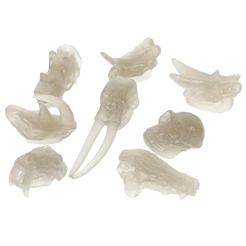 SKISUNO 1 Satz Dinosaurier-knochenmodell Für Kinder Dinosaurierknochen Fossiles Spielzeug Für Kinder Dinosaurier-Knochen-Spielzeug Kinder Dinosaurier Schädel Dinosaurier-fossil PVC von SKISUNO