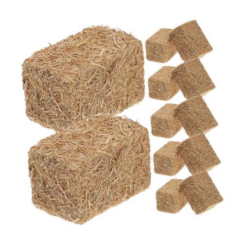 SKISUNO 12 Stück Teiliges Mini Heuballen aus Natürlichem Realistische Herbstliche Deko für Puppenhäuser DIY Bauernhof szenerie Langlebig und Farbecht für Garten Hochzeitsarrangements SKISUNO 12 Stück Teiliges Mini Heuballen aus Natürlichem Realistische Herbstliche Deko für Puppenhäuser DIY Bauernhof szenerie Langlebig und Farbecht für Garten Hochzeitsarrangements von SKISUNO