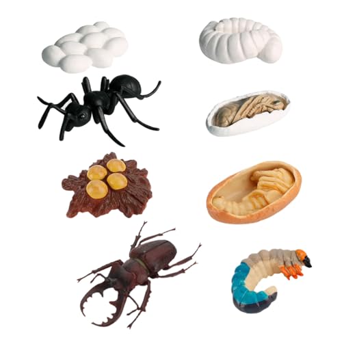 SKISUNO 8 Stück Realistisches Teiliges Insekten Wachstumszyklus Modell Detaillierte Ameisen Simulation Pädagogisches Lernspielzeug für Kognitiver Fähigkeiten und Naturentdeckung SKISUNO 8 Stück Realistisches Teiliges Insekten Wachstumszyklus Modell Detaillierte Ameisen Simulation Pädagogisches Lernspielzeug für Kognitiver Fähigkeiten und Naturentdeckung von SKISUNO