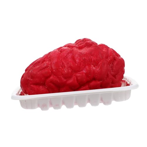 SKISUNO Halloween Deko Realistische Gehirn Herz Requisite Kleines Leichtes Langlebiges Körperorgan Modell für Gruselige Party Dekoration und Horror Themen Sicher und Tragbar SKISUNO Halloween Deko Realistische Gehirn Herz Requisite Kleines Leichtes Langlebiges Körperorgan Modell für Gruselige Party Dekoration und Horror Themen Sicher und Tragbar von SKISUNO