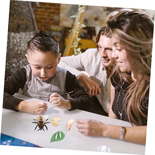 SKISUNO Lernspielzeug Honigbienen Wachstumszyklus Modell aus Kunststoff Realistisches Miniatur Wachstumsphasen Pädagogisches Naturkunde für Jungen und Mädchen Ab Vorschulalter SKISUNO Lernspielzeug Honigbienen Wachstumszyklus Modell aus Kunststoff Realistisches Miniatur Wachstumsphasen Pädagogisches Naturkunde für Jungen und Mädchen Ab Vorschulalter von SKISUNO