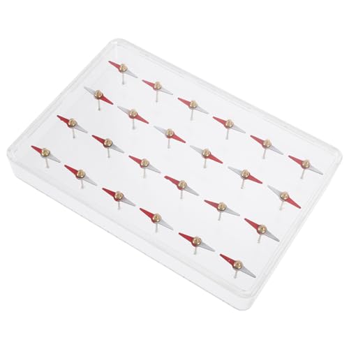 SKISUNO Magnetisches Feld Demonstrator für Schüler Physik Magnetismus Lehrmittel mit Kleinen Magnetnadeln und Feldverteilungsmodell für Mittlere Schulen Lernspielzeug SKISUNO Magnetisches Feld Demonstrator für Schüler Physik Magnetismus Lehrmittel mit Kleinen Magnetnadeln und Feldverteilungsmodell für Mittlere Schulen Lernspielzeug von SKISUNO